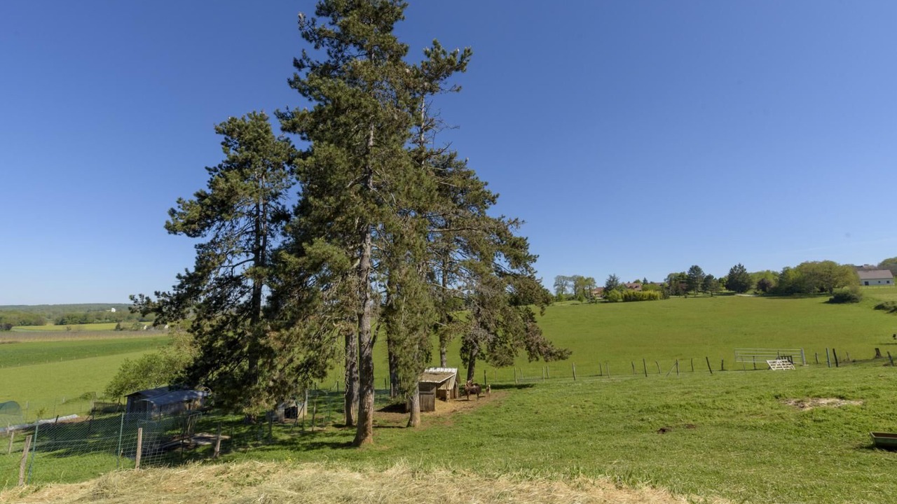 Photo of Others in Mayrac