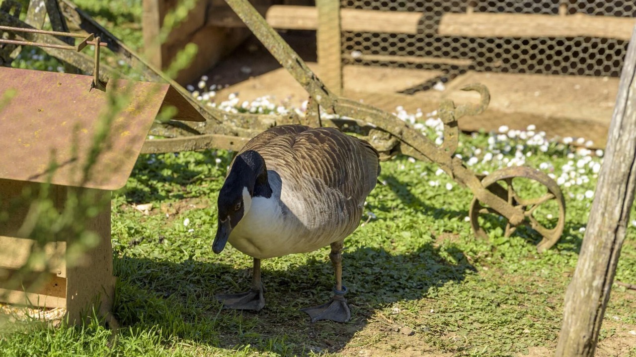 Photo of Others in Mayrac