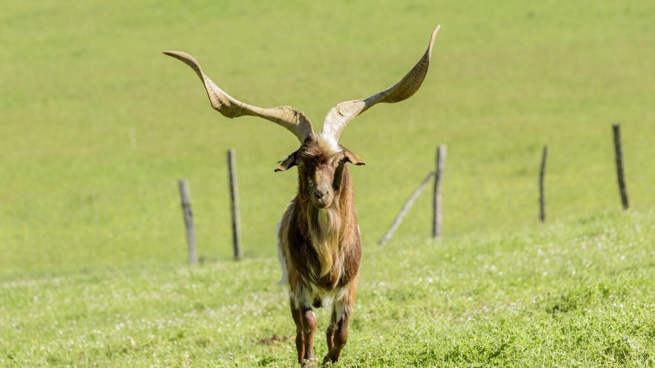 Photo of Others in Mayrac