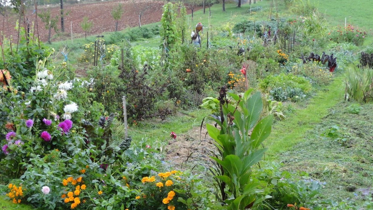 Photo of Outdoor in Lavercantiere