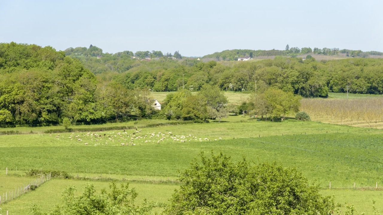 Photo of Others in Mayrac