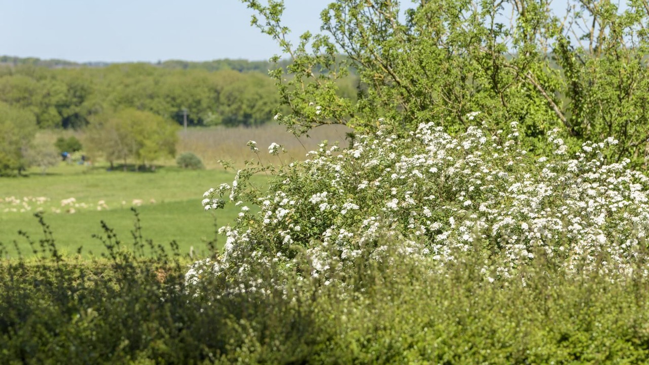Photo of Others in Mayrac