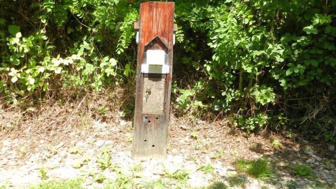 Photo of Others in Sauliac-sur-Cele