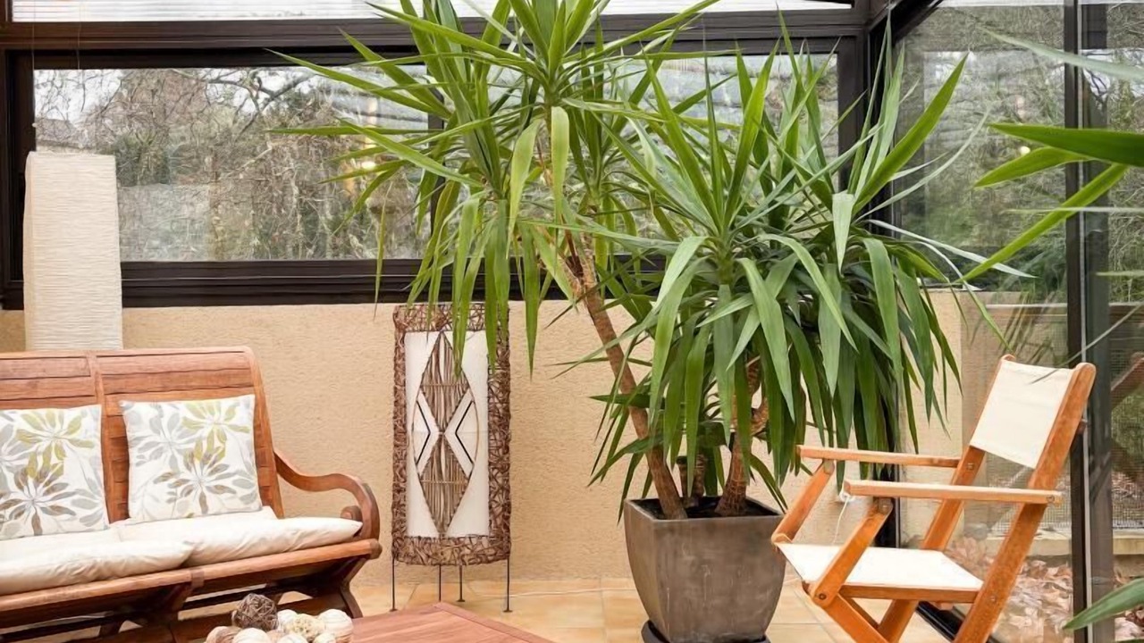 Photo of Others in Saint-Medard