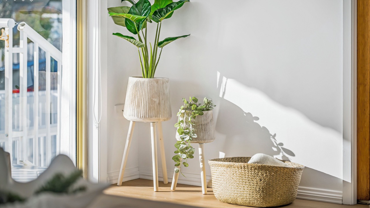 Photo of Others in Crescent Head