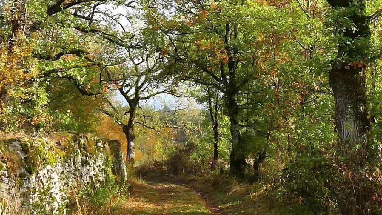 Photo of Others in Thegra