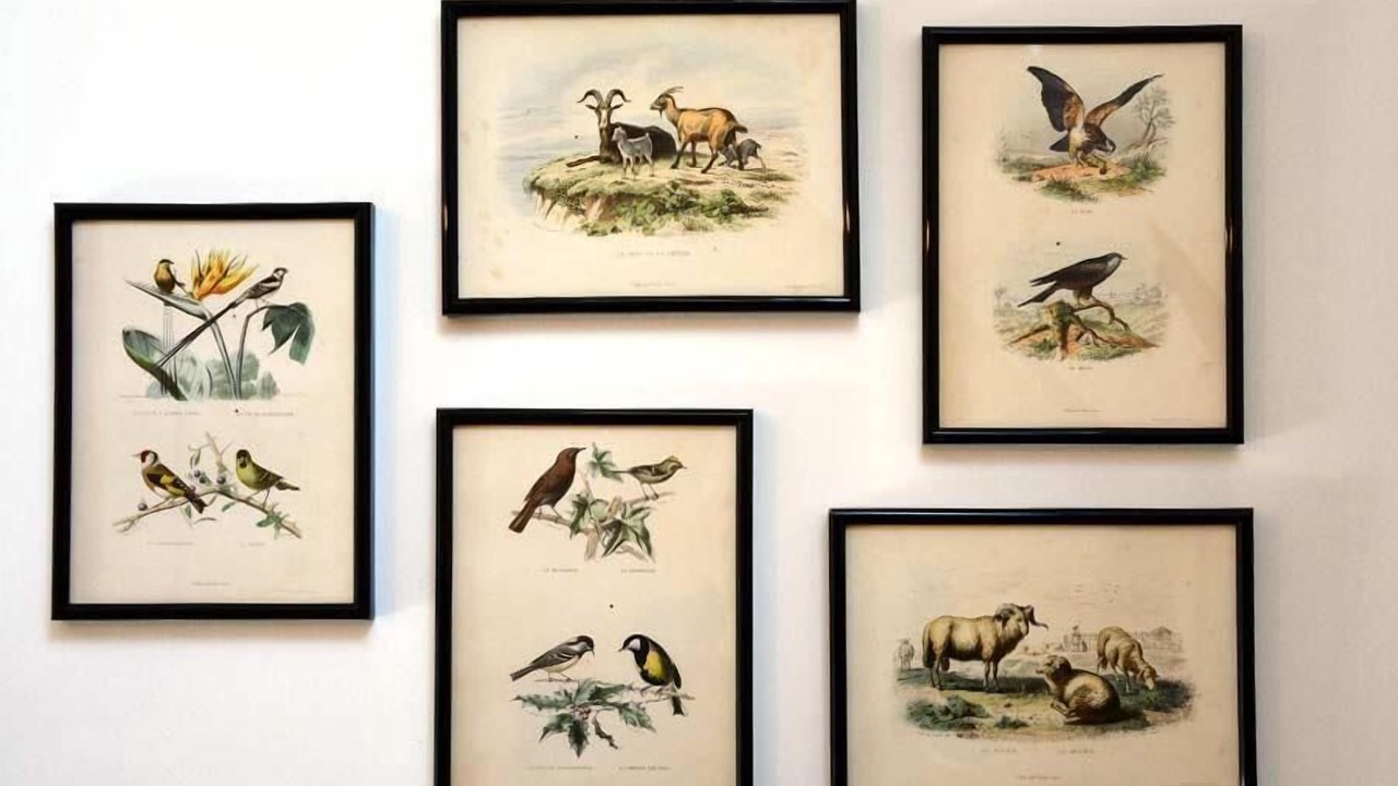 Photo of Others in Thegra