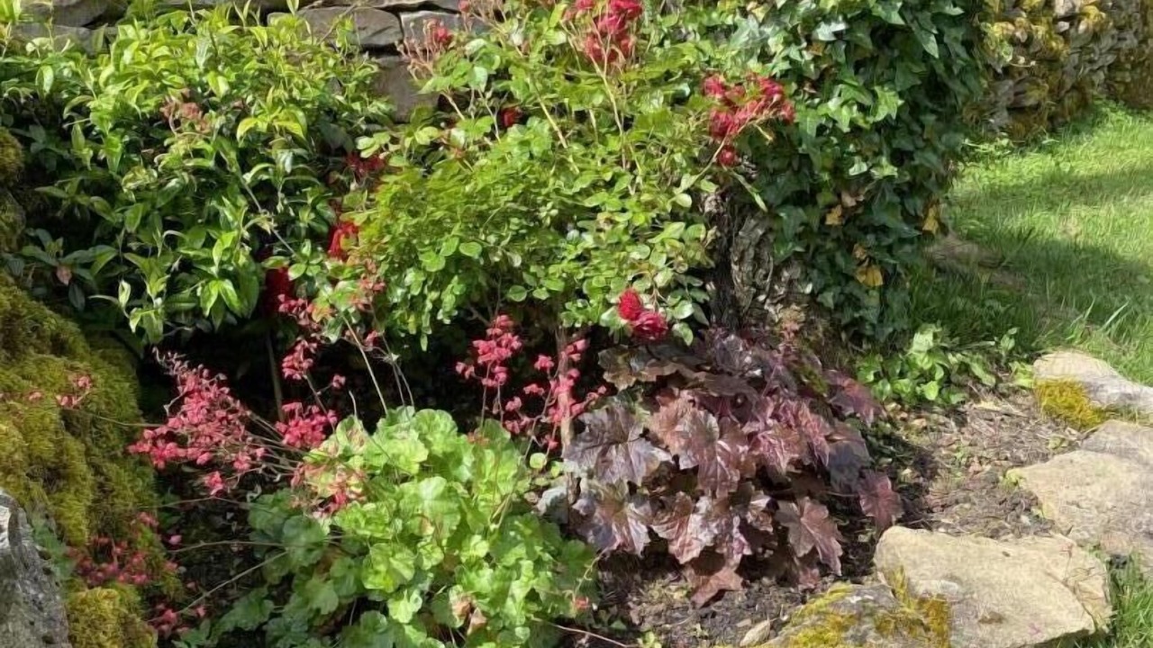 Photo of Outdoor in Thegra