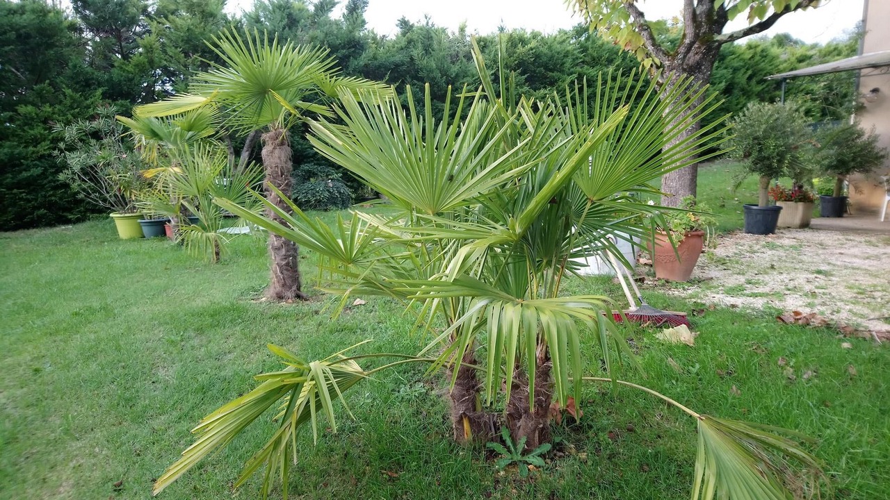 Photo of Outdoor in Masclat