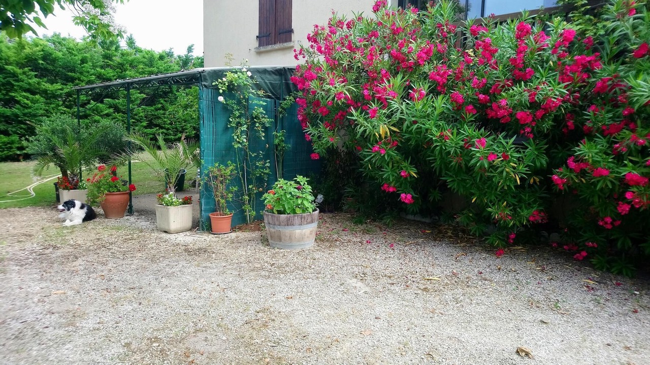 Photo of Outdoor in Masclat