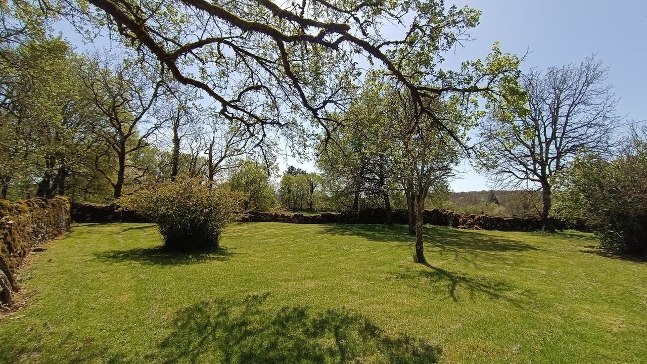 Photo of Outdoor in Corn