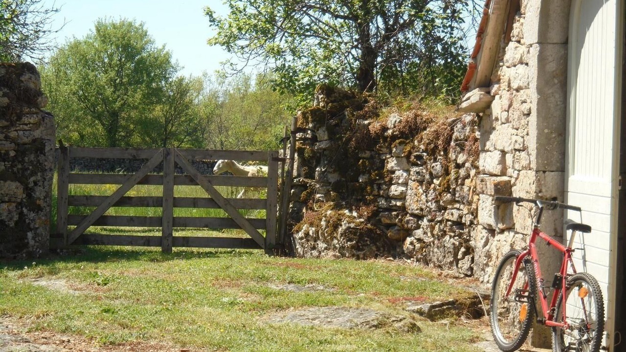 Photo of Outdoor in Corn