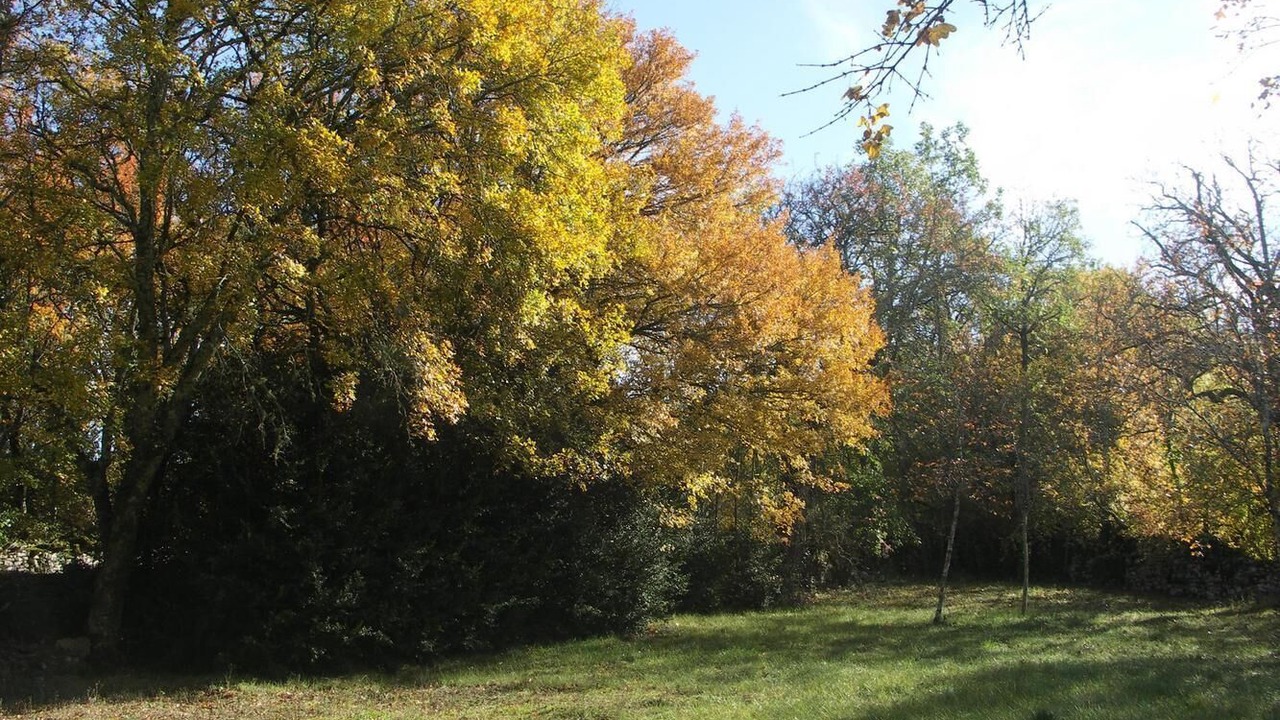 Photo of Others in Grealou