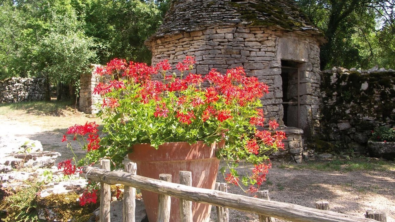 Photo of Outdoor in Grealou