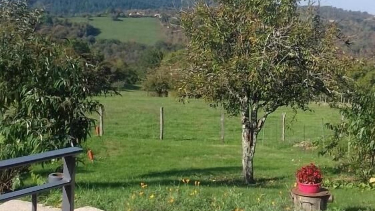 Photo of Outdoor in Viazac