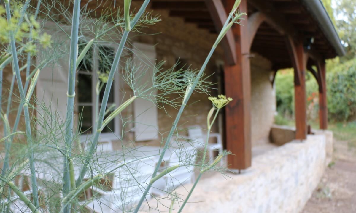 Photo of Outdoor in Le Bougayrou