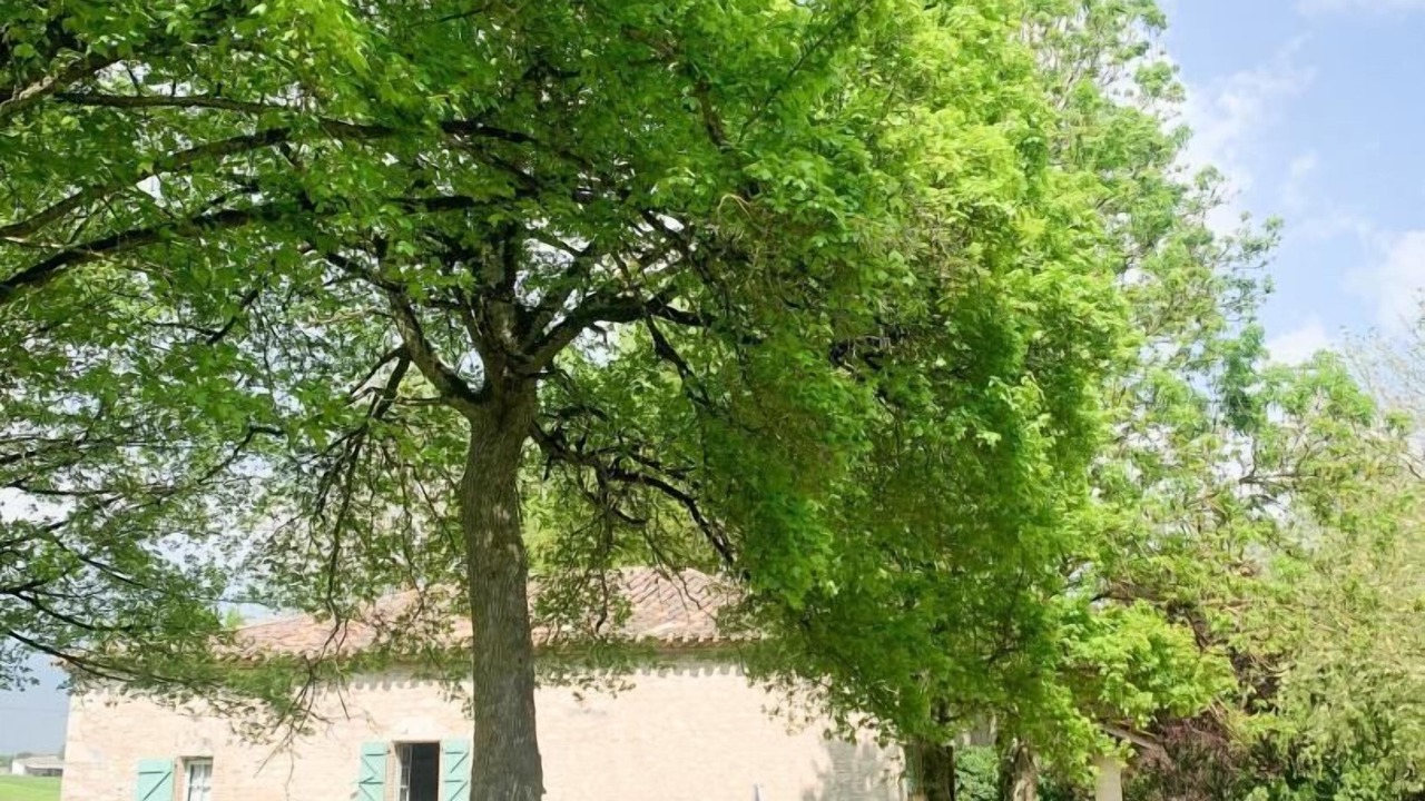Photo of Outdoor in Castelnau-Montratier-Sainte-Alauzie