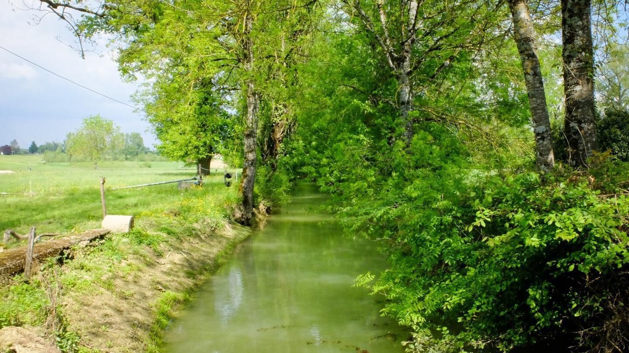Photo of Others in Castelnau-Montratier-Sainte-Alauzie