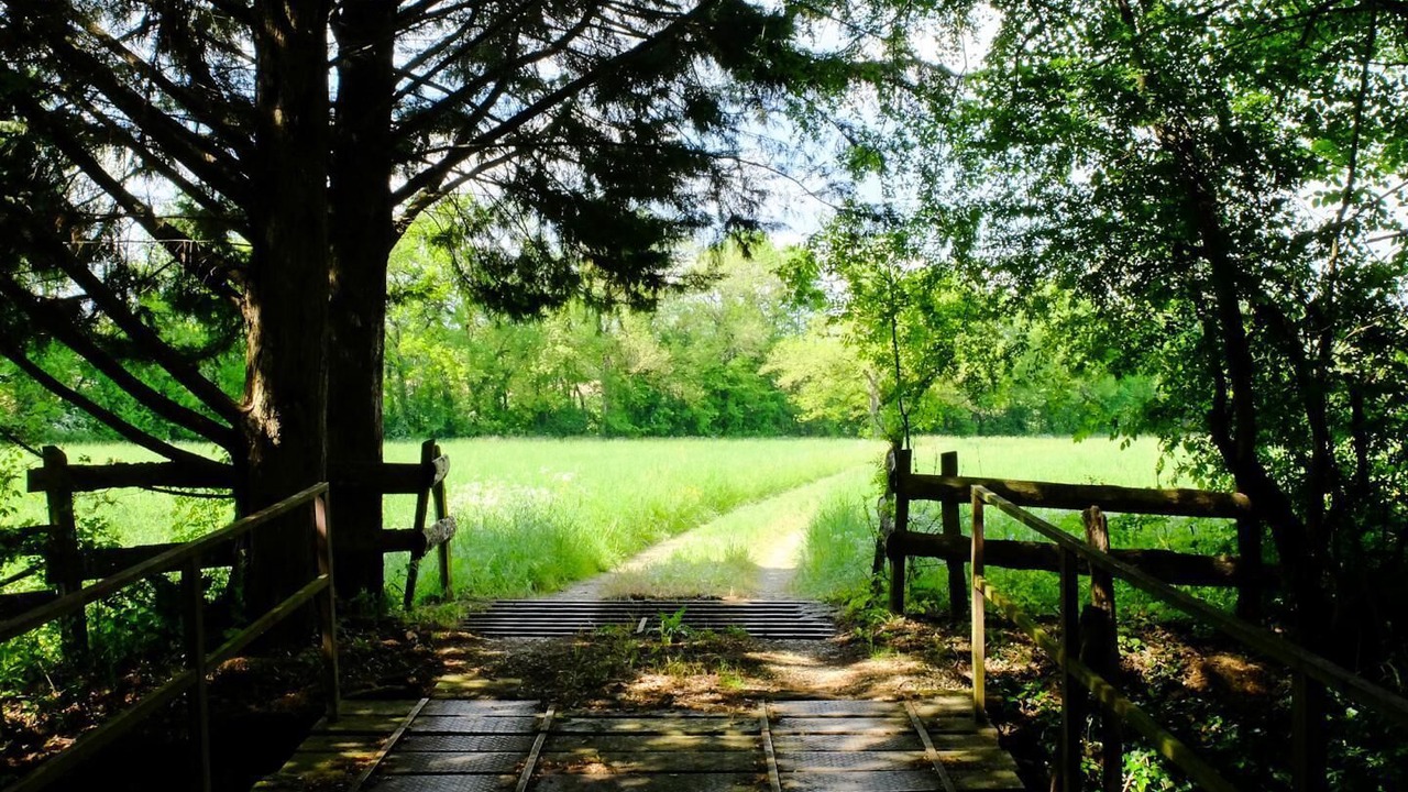 Photo of Outdoor in Castelnau-Montratier-Sainte-Alauzie
