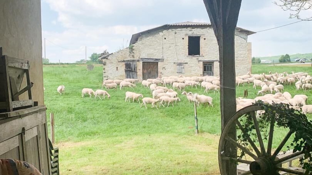 Photo of Outdoor in Castelnau-Montratier-Sainte-Alauzie