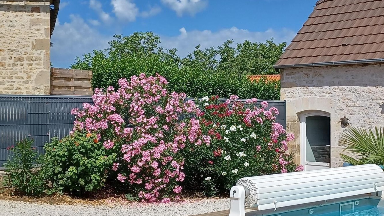 Photo of Outdoor in Cuzance