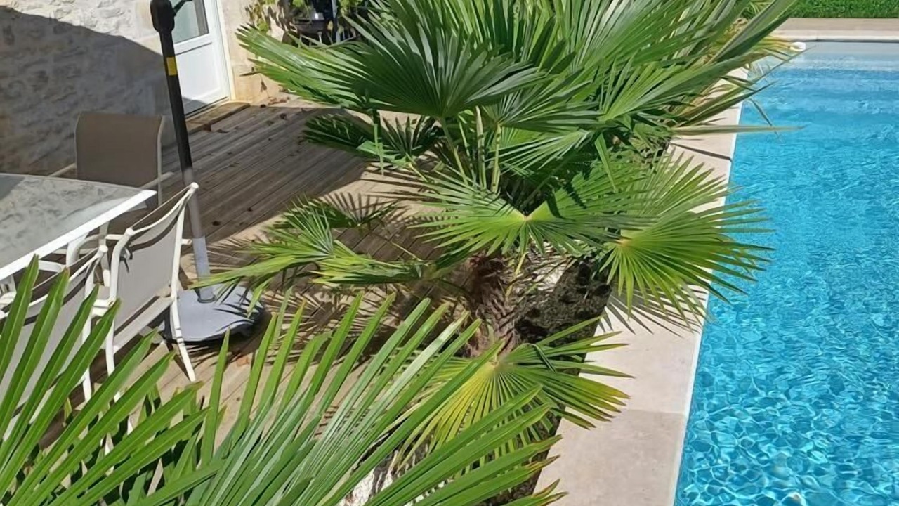 Photo of Outdoor in Cuzance