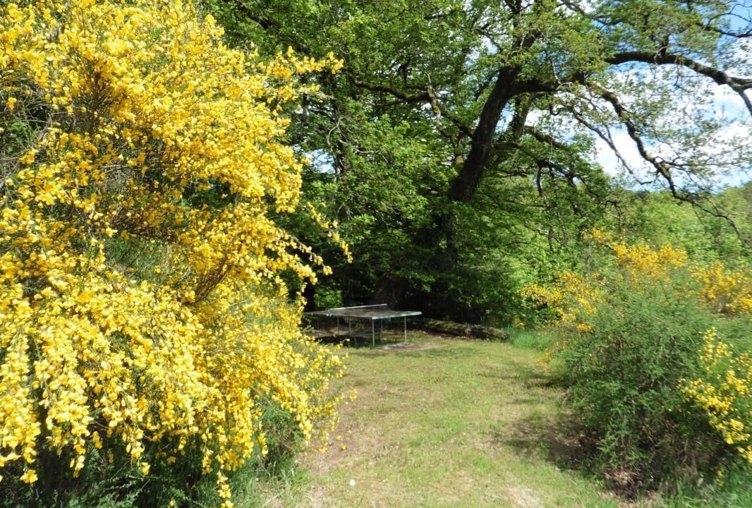 Photo of Outdoor in Sousceyrac