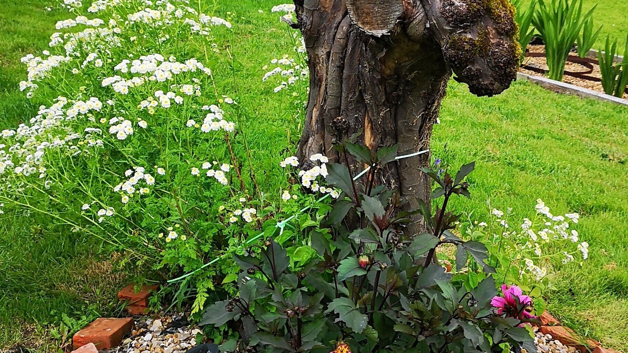 Photo of Outdoor in Cogners