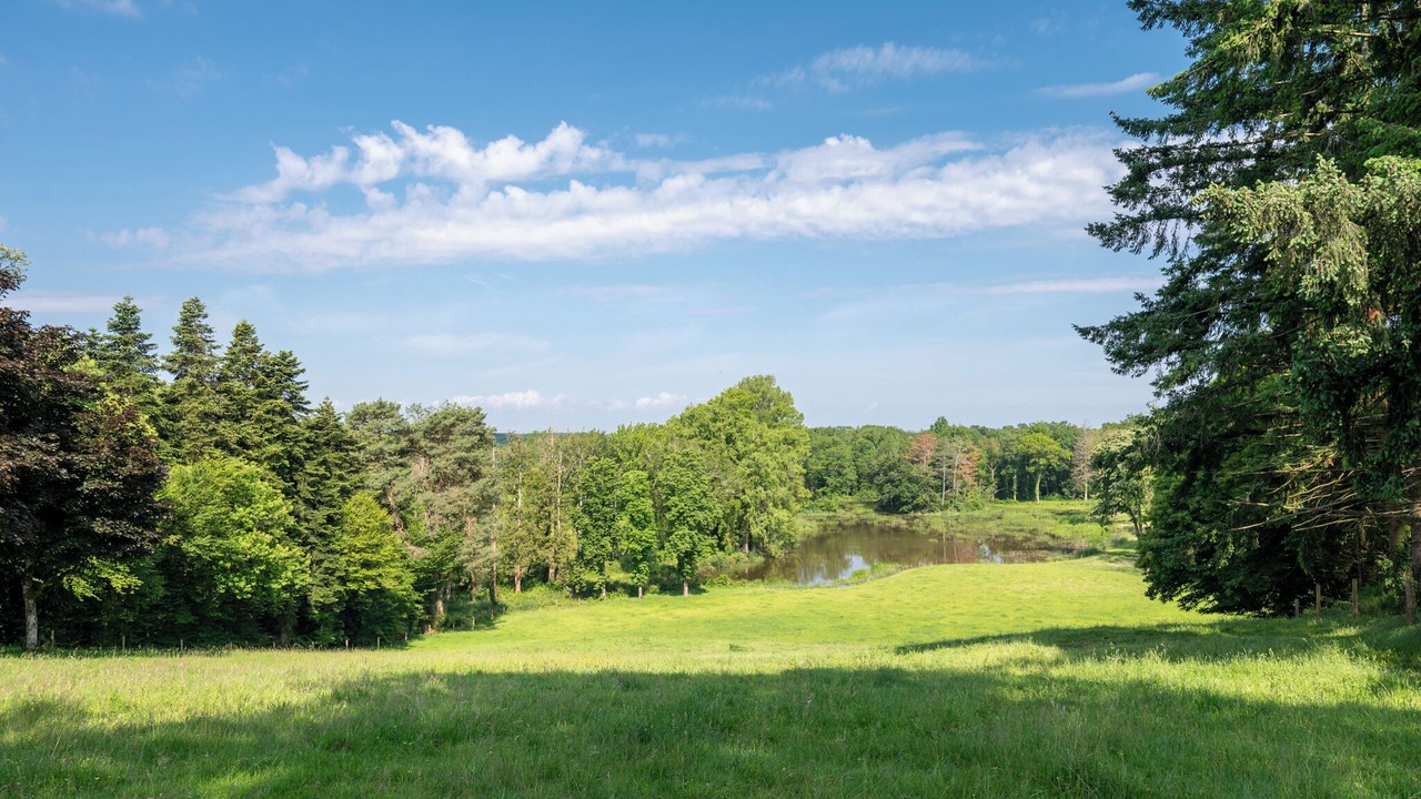 Photo of Others in Chatenay