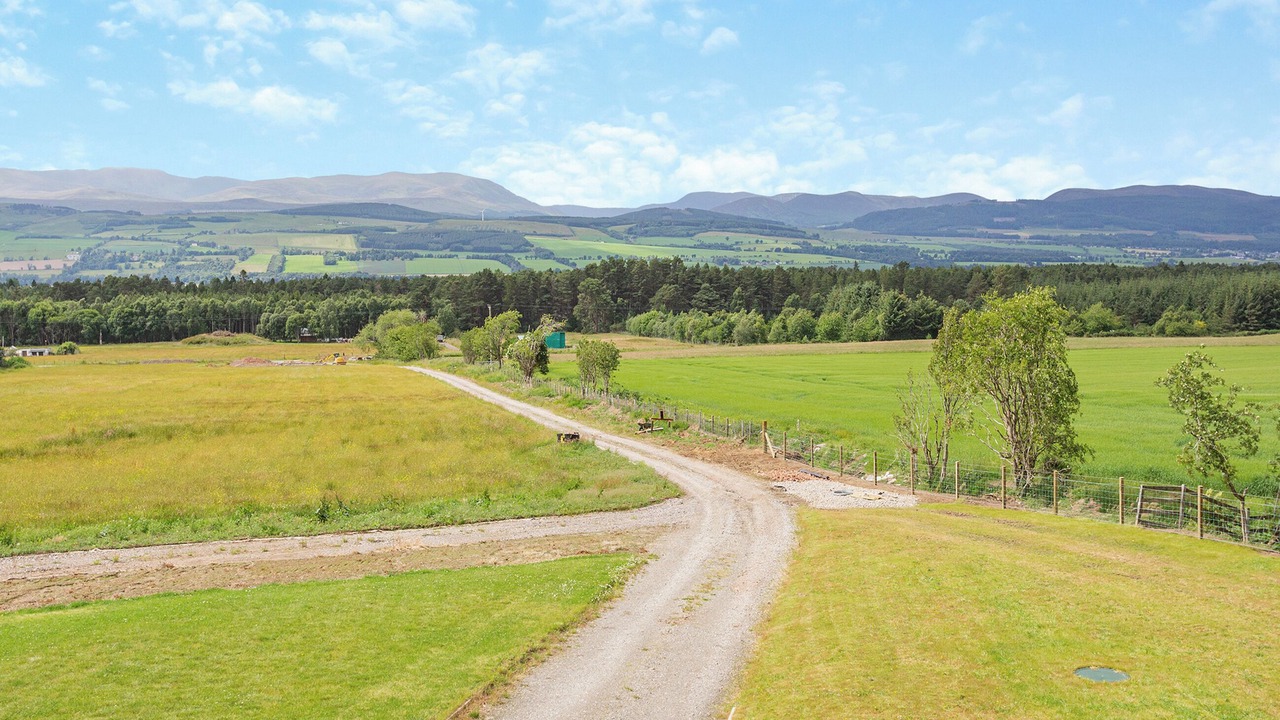 Photo of Others in Dingwall