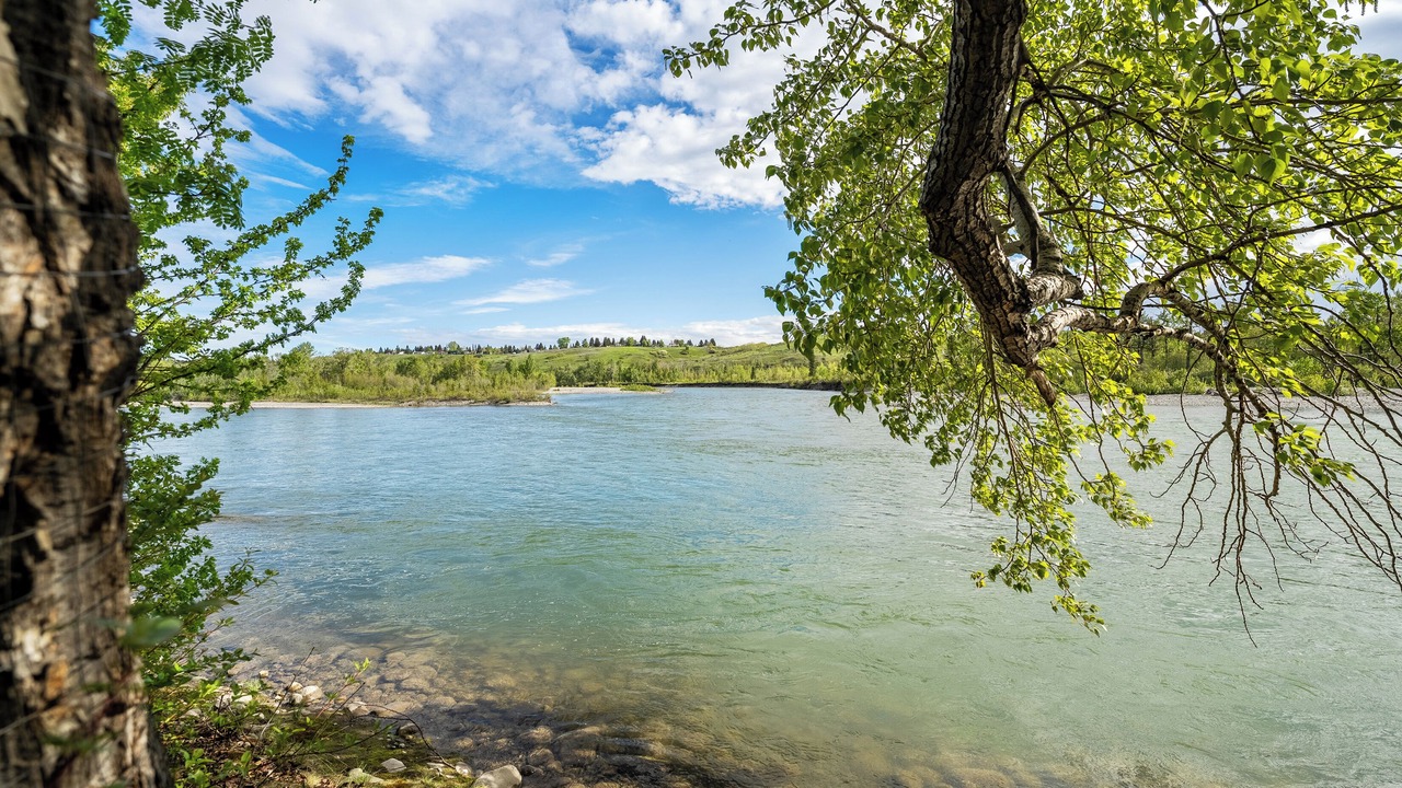 Photo of Others in Northwest Calgary