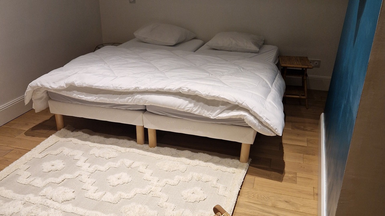 Photo of Bedroom in Dommiers