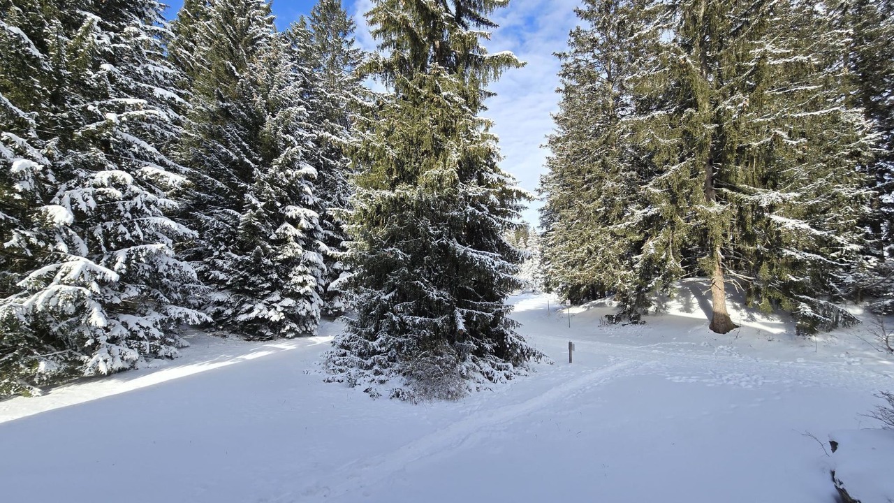 Photo of Others in Lenzerheide