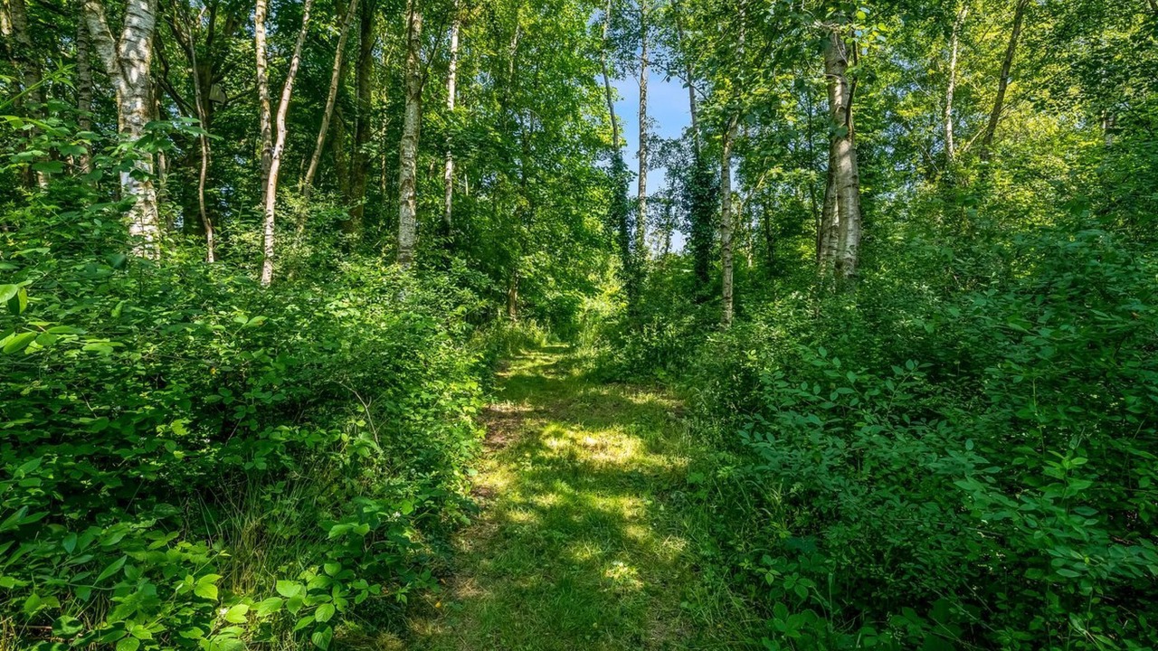 Photo of Outdoor in Strøby Ladeplads