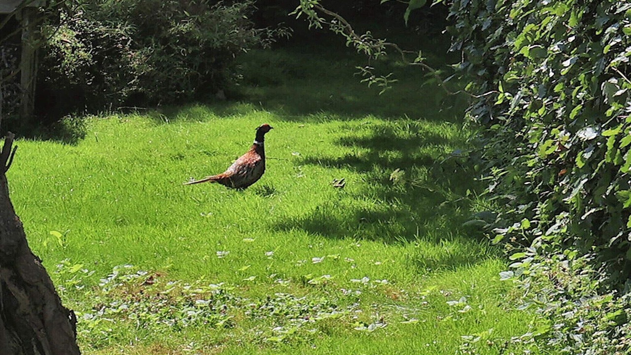 Photo of Others in Karrebksminde