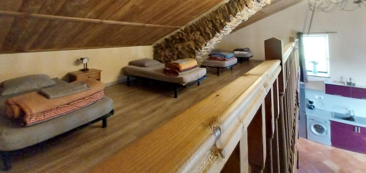 Photo of Others in Rogues