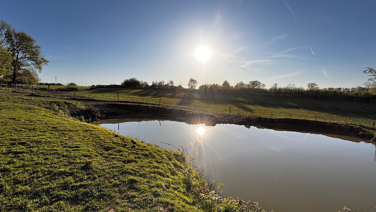 Photo of Others in Romenay