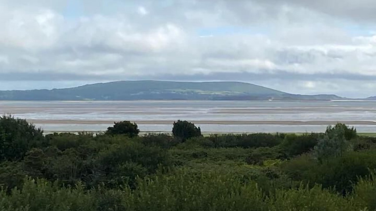 Photo of Others in Llanelli