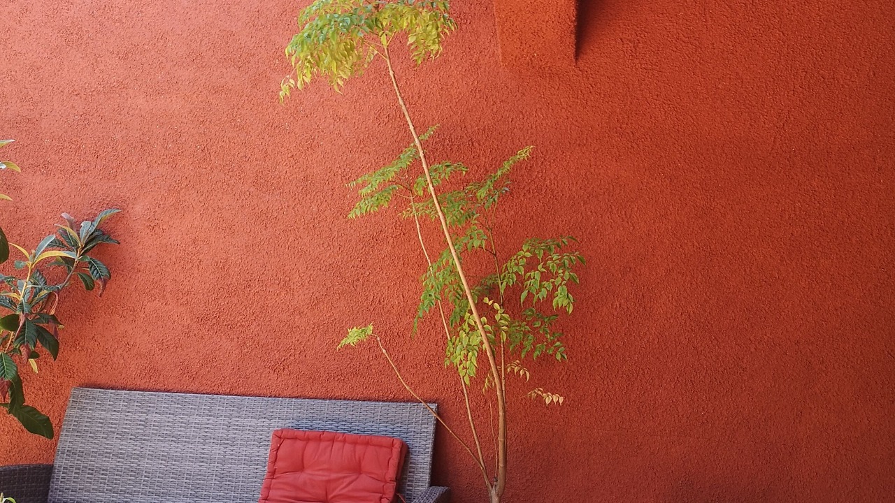 Photo of Patio Balcony in Carcassonne