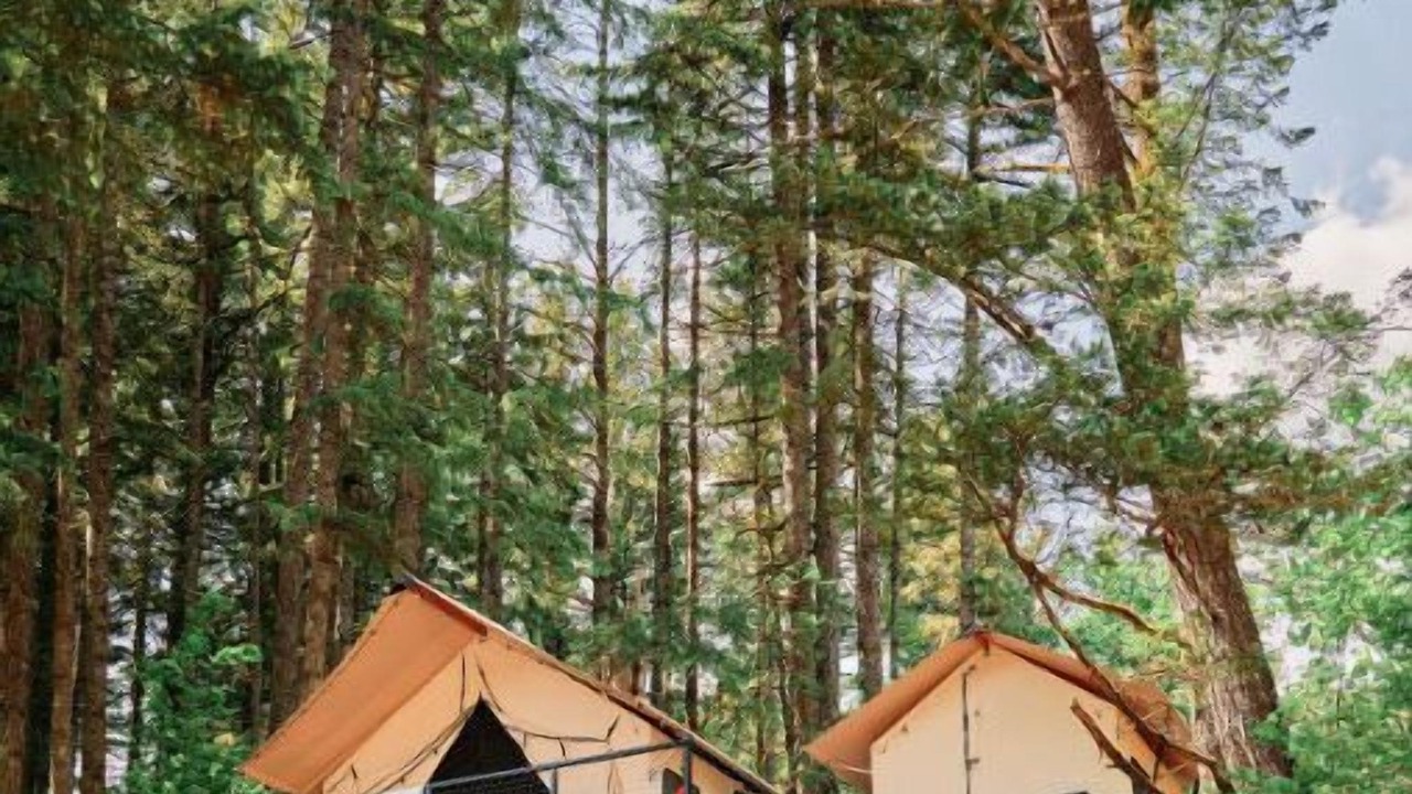 Photo of Others in Stevenson