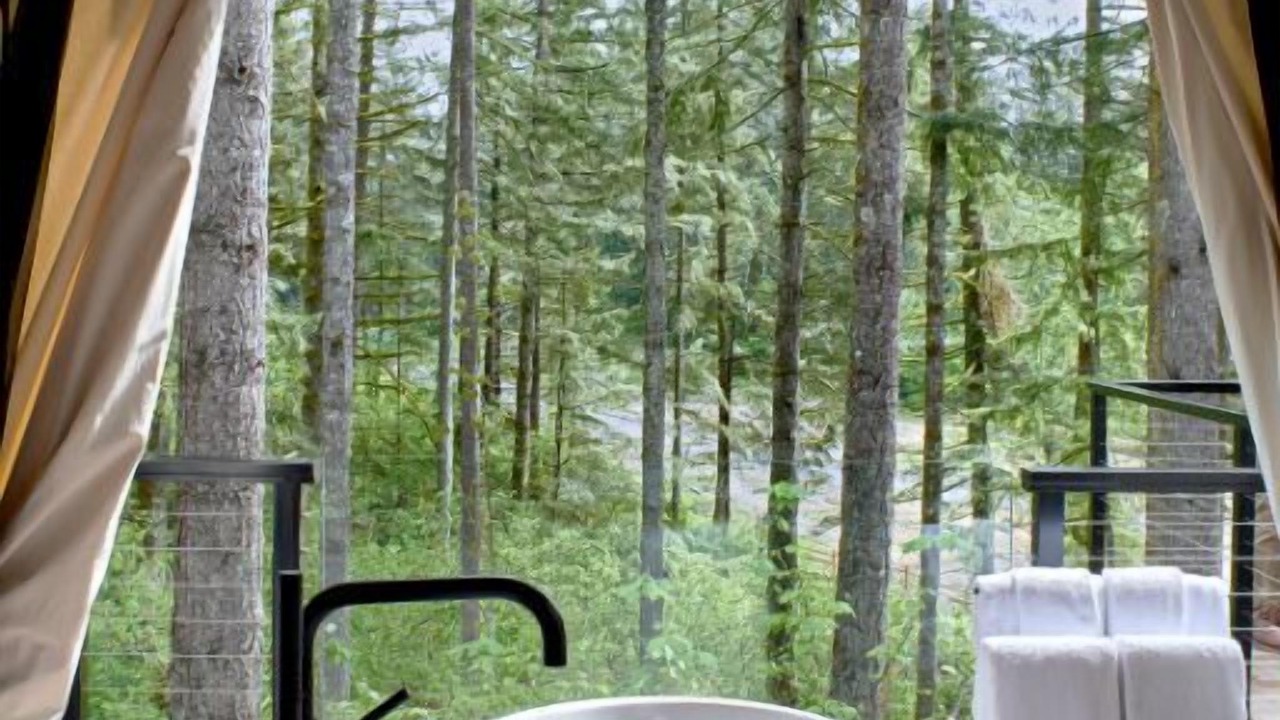 Photo of Outdoor in Stevenson