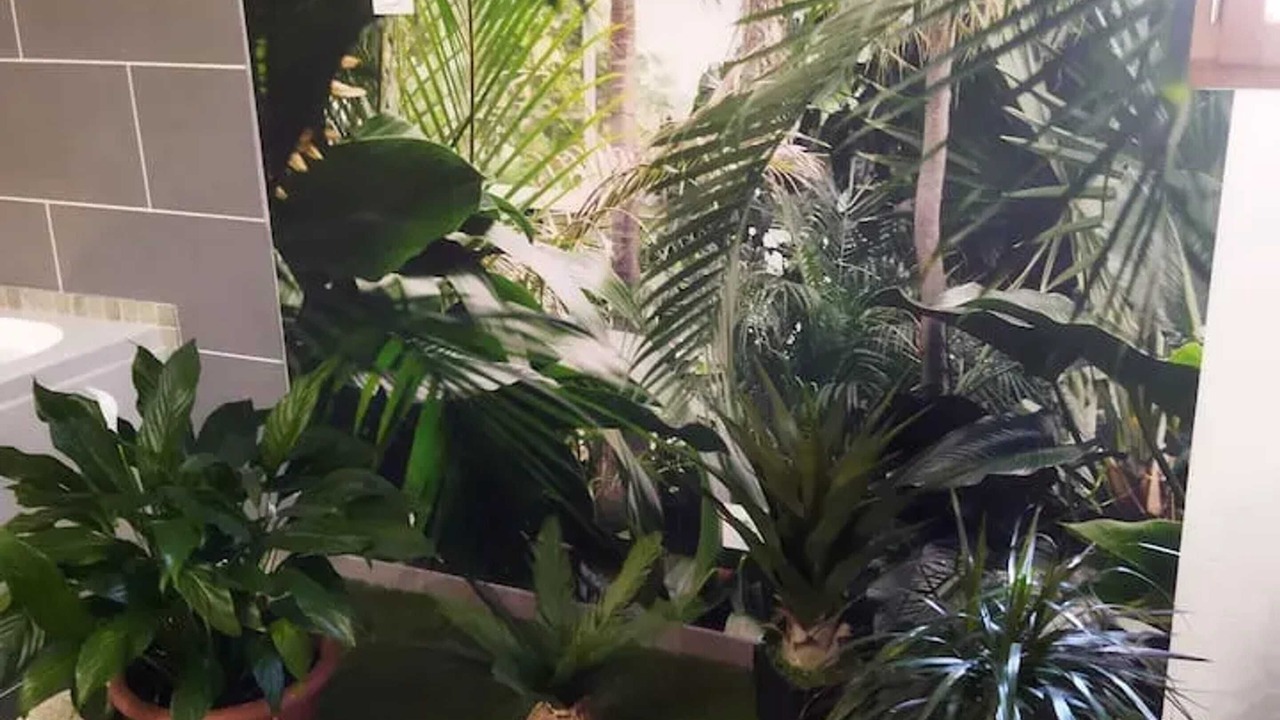 Photo of Others in Baixas