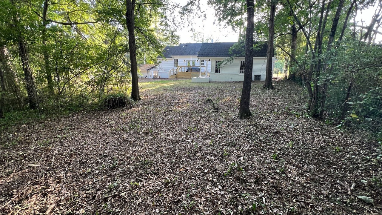 Photo of Outdoor in Starkville