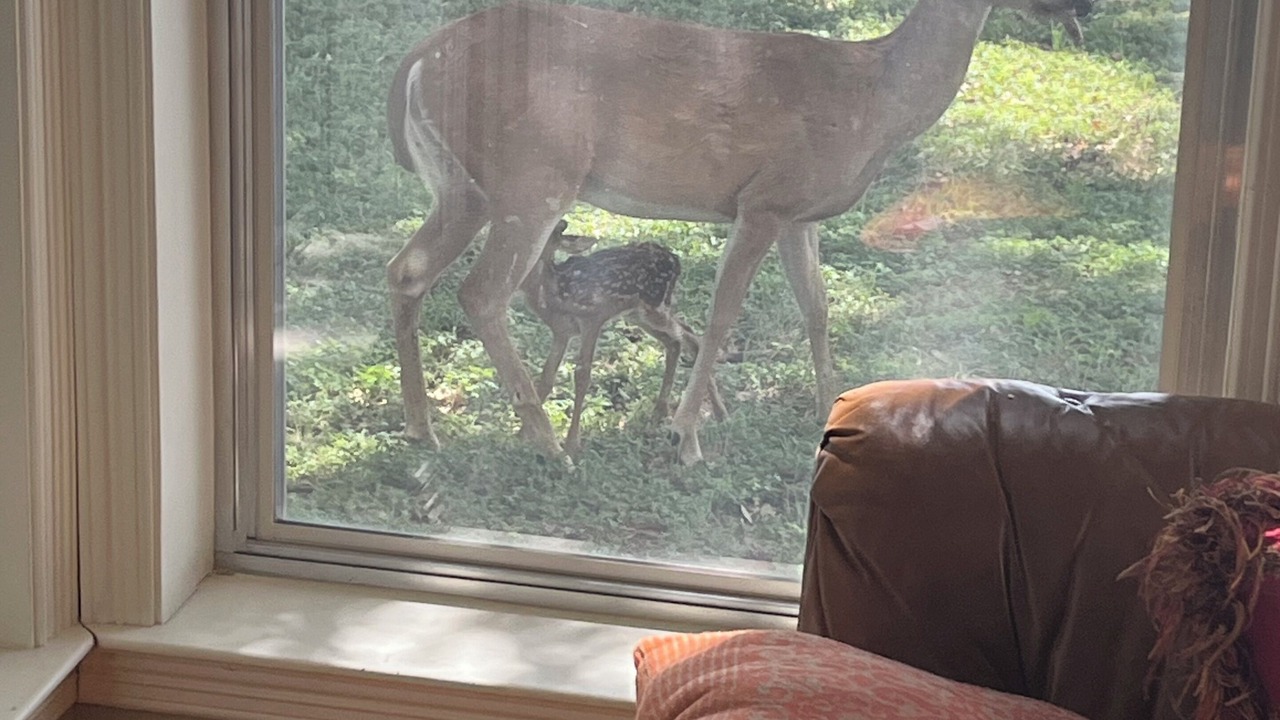 Photo of Others in Silver Creek Village