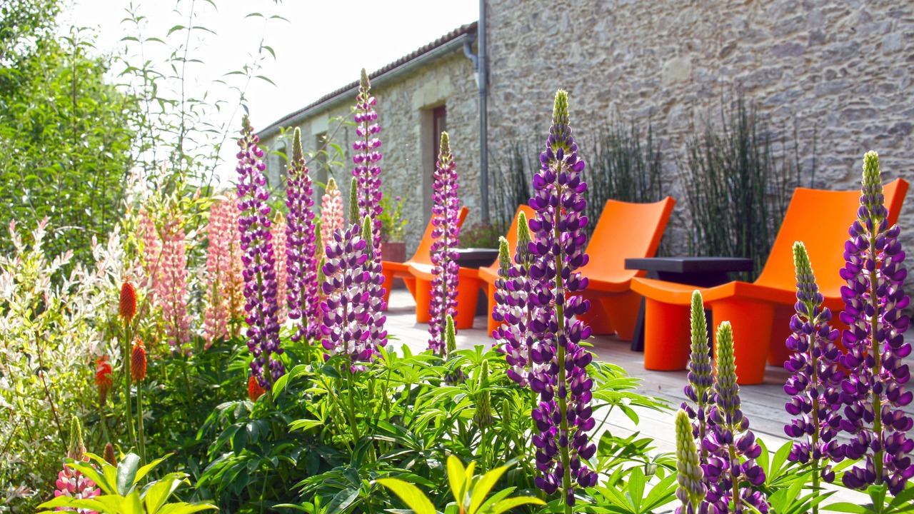 Photo of Patio Balcony in Saint-Fiacre-sur-Maine