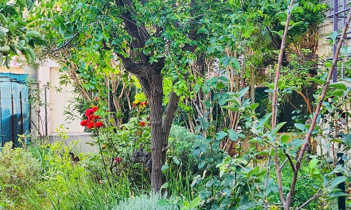 Photo of Outdoor in Lemasson