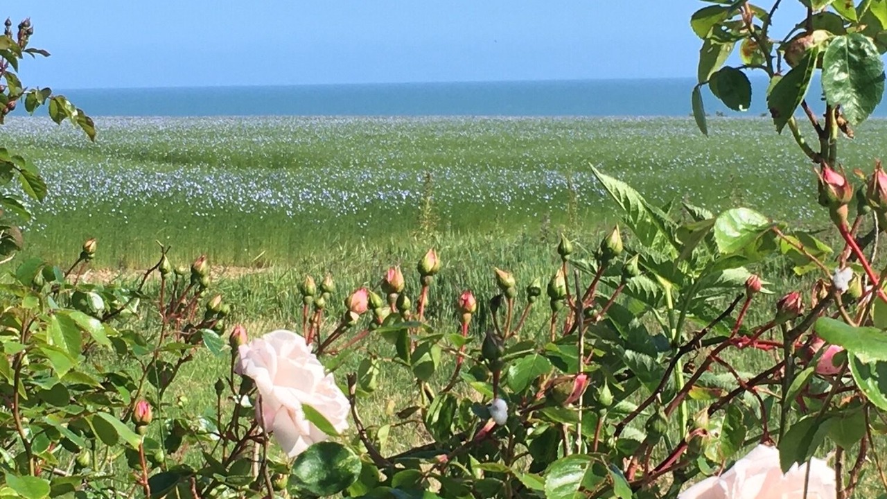 Photo of Others in Saint-Aubin-sur-Mer
