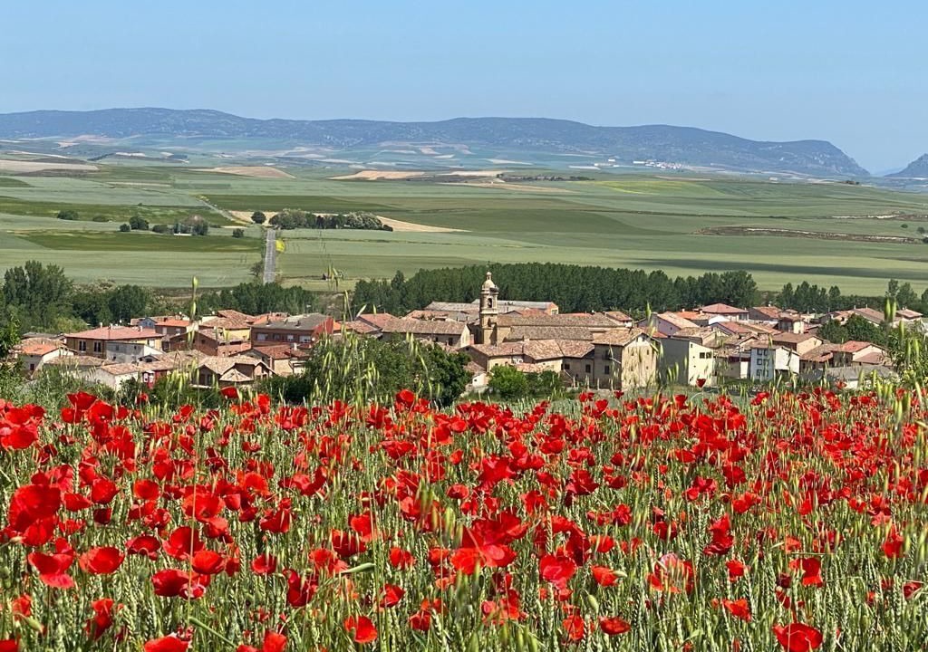 Photo of Outdoor in Herramelluri