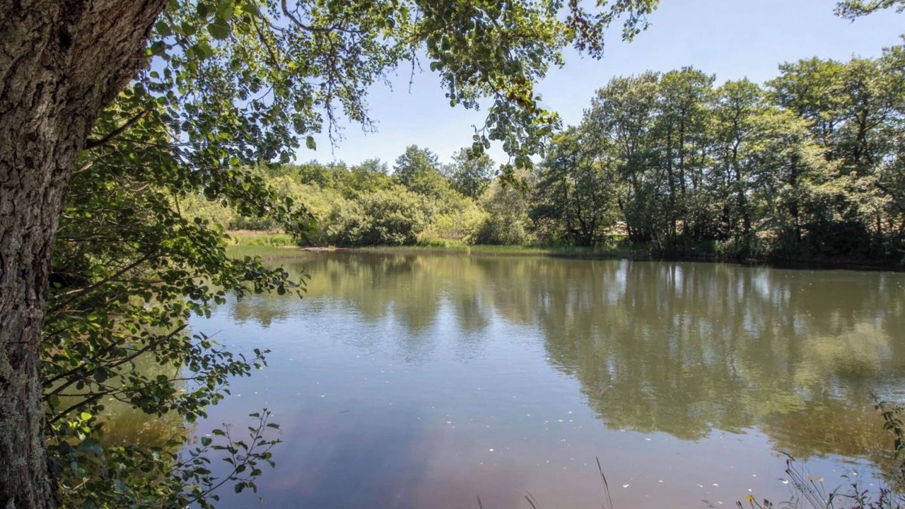 Photo of Others in Saint-Sauves-d'Auvergne
