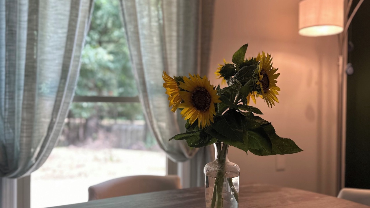 Photo of Others in Travelers Rest